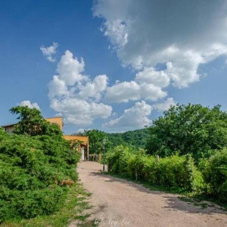 Chouvigny Gite Du Mont Plaisir 빌라 외부 사진