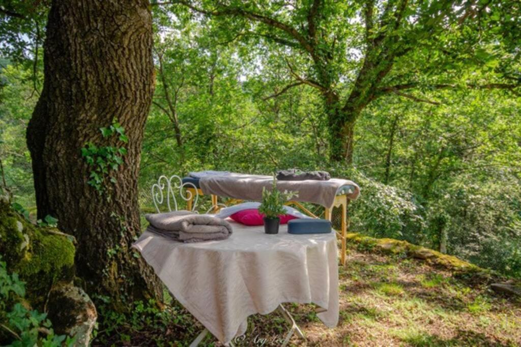 Chouvigny Gite Du Mont Plaisir 빌라 외부 사진